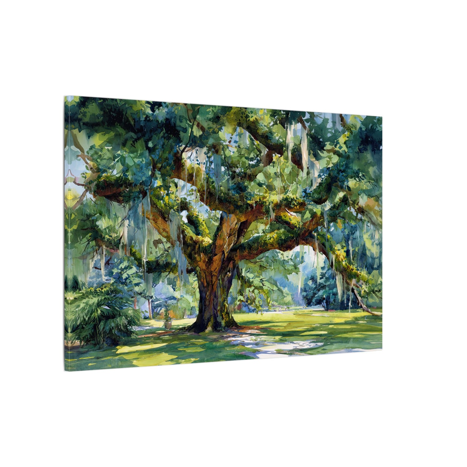 .75" Matte Canvas - Whispering Southern Live Oak