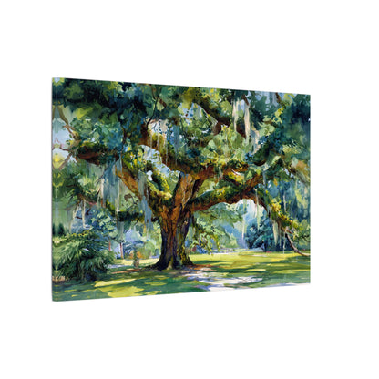 .75" Matte Canvas - Whispering Southern Live Oak