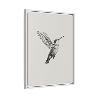 Framed Canvas - Flying Hummingbird Line Study