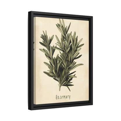 Framed Canvas - Botanical Rosemary Study