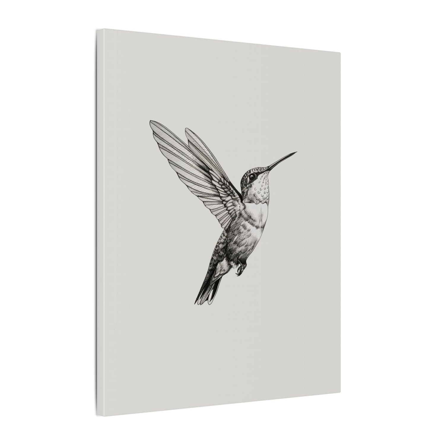 .75" Matte Canvas - Flying Hummingbird Line Study