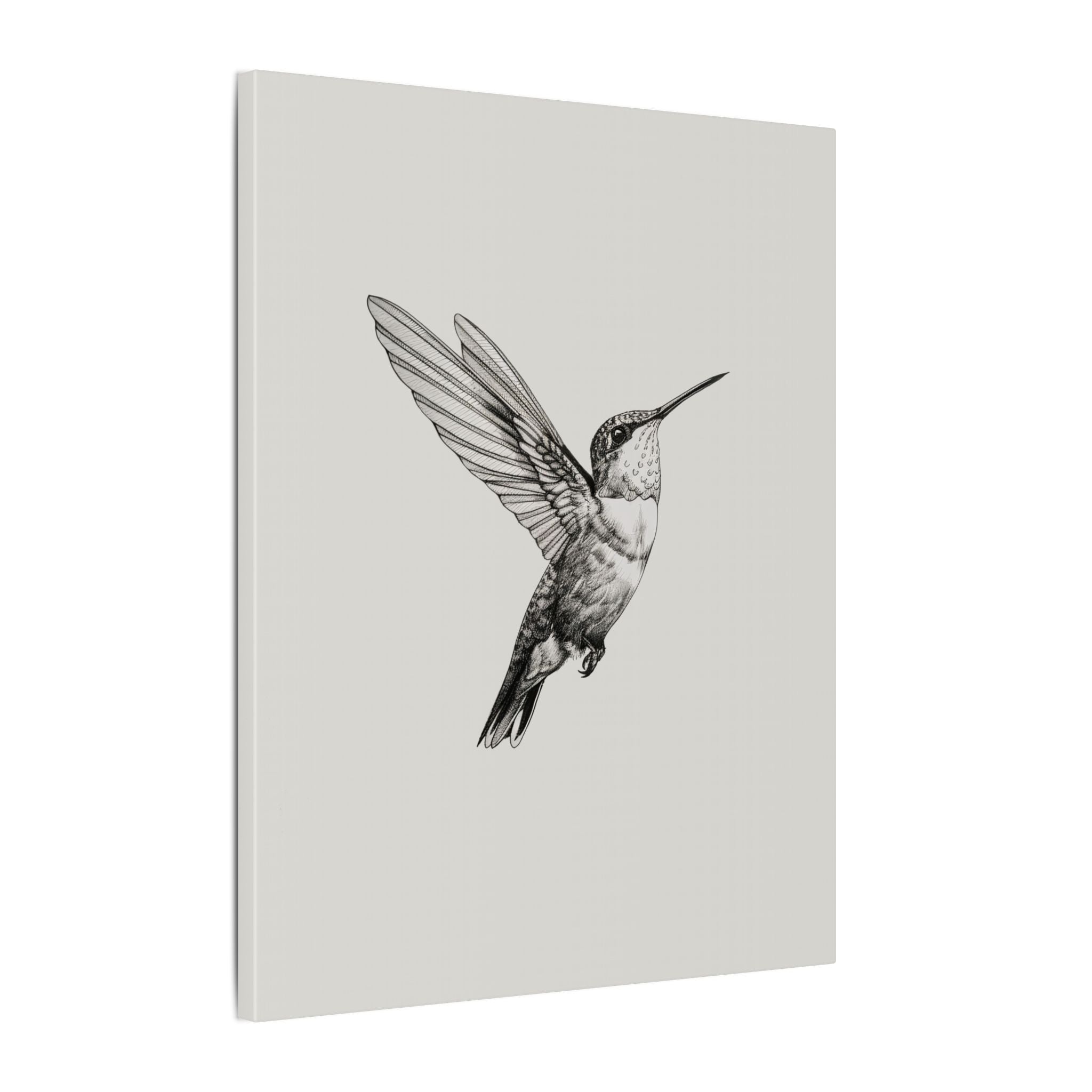 .75" Matte Canvas - Flying Hummingbird Line Study