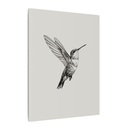 .75" Matte Canvas - Flying Hummingbird Line Study