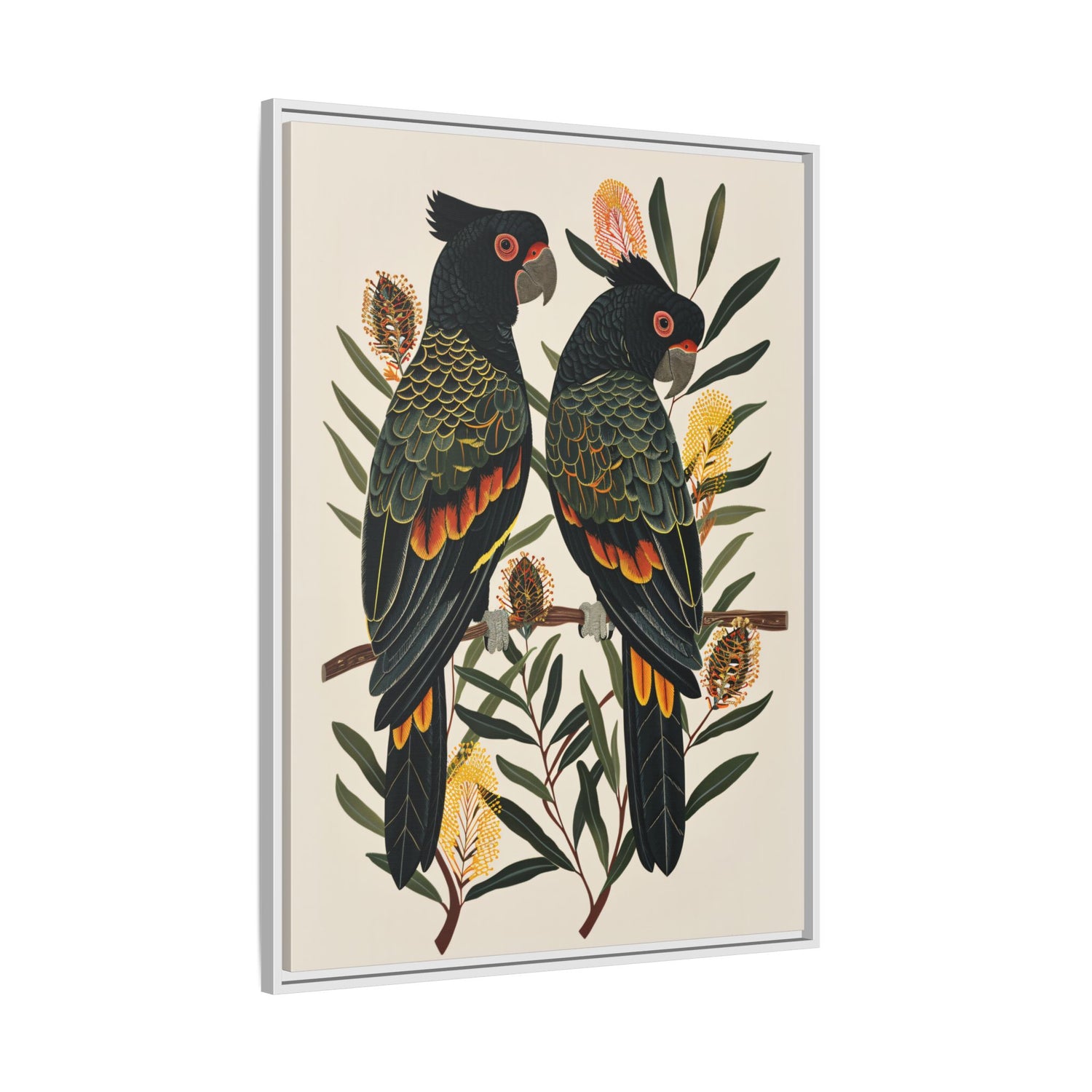 Framed Canvas - Black Cockatoos Among Banksia