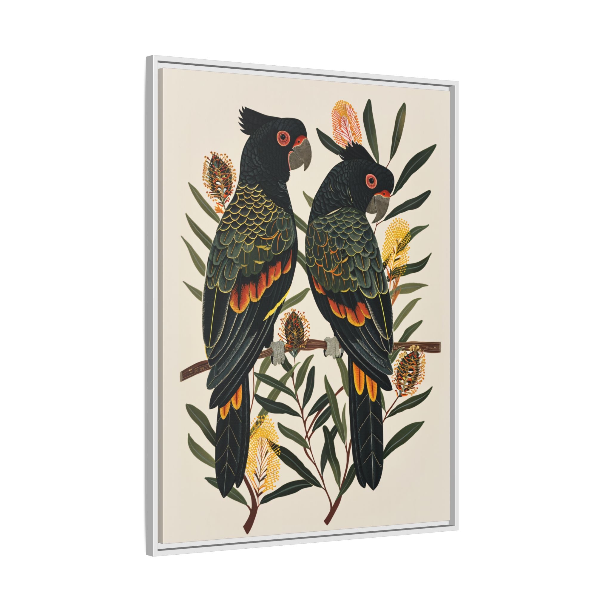 Framed Canvas - Black Cockatoos Among Banksia