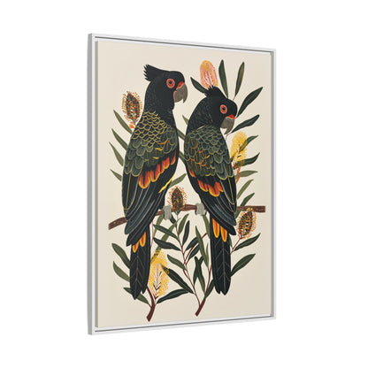 Framed Canvas - Black Cockatoos Among Banksia