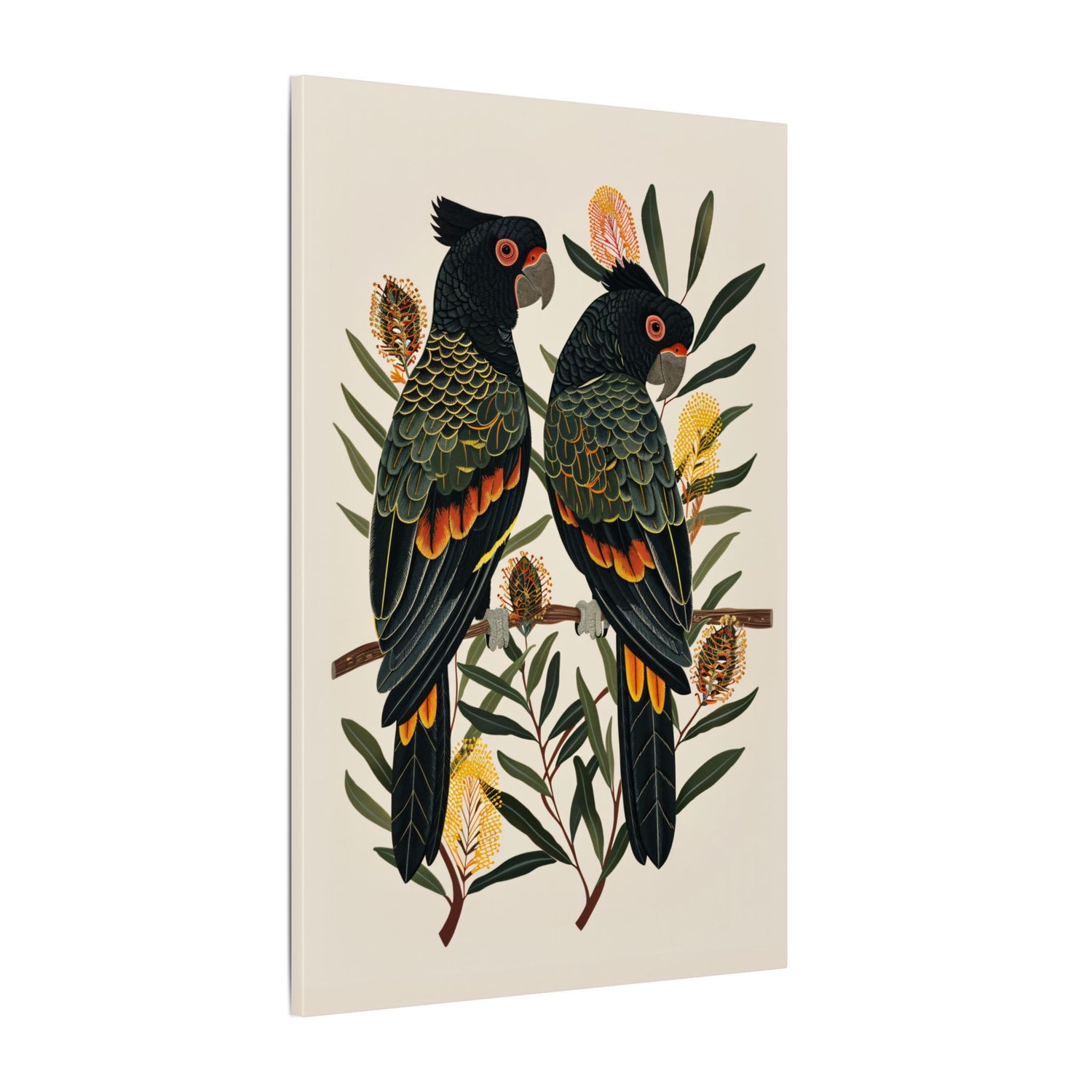 .75" Matte Canvas - Black Cockatoos Among Banksia