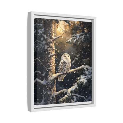 Framed Canvas - Silent Gaze Snow Owl