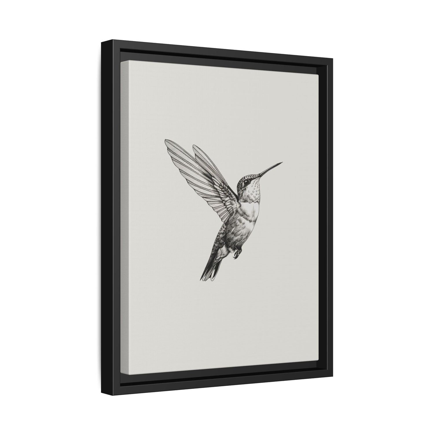 Framed Canvas - Flying Hummingbird Line Study