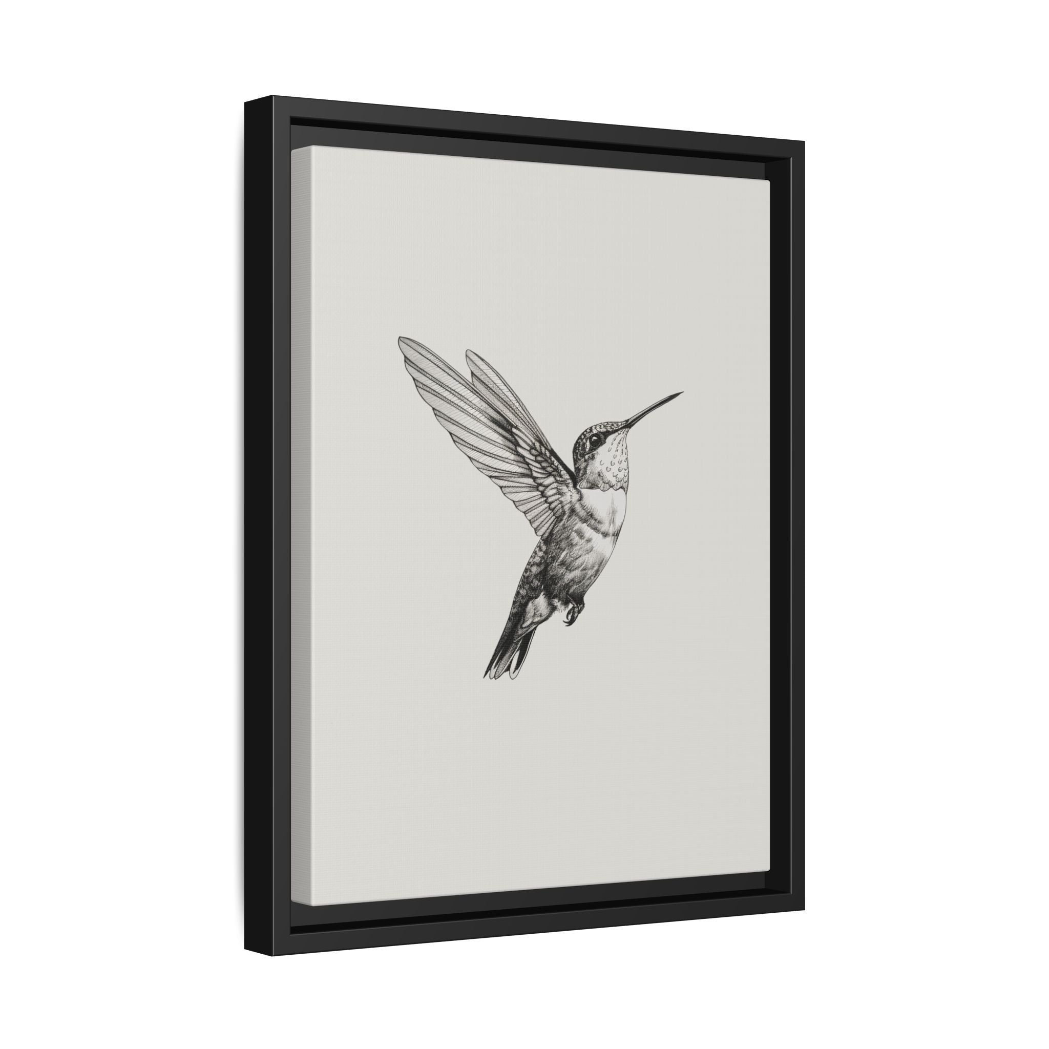 Framed Canvas - Flying Hummingbird Line Study