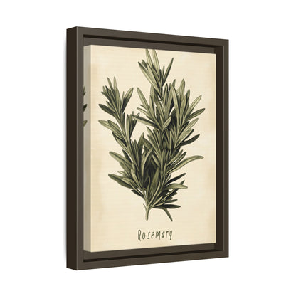 Framed Canvas - Botanical Rosemary Study