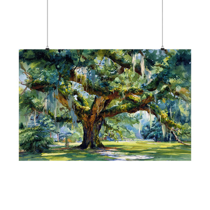 Whispering Southern Live Oak
