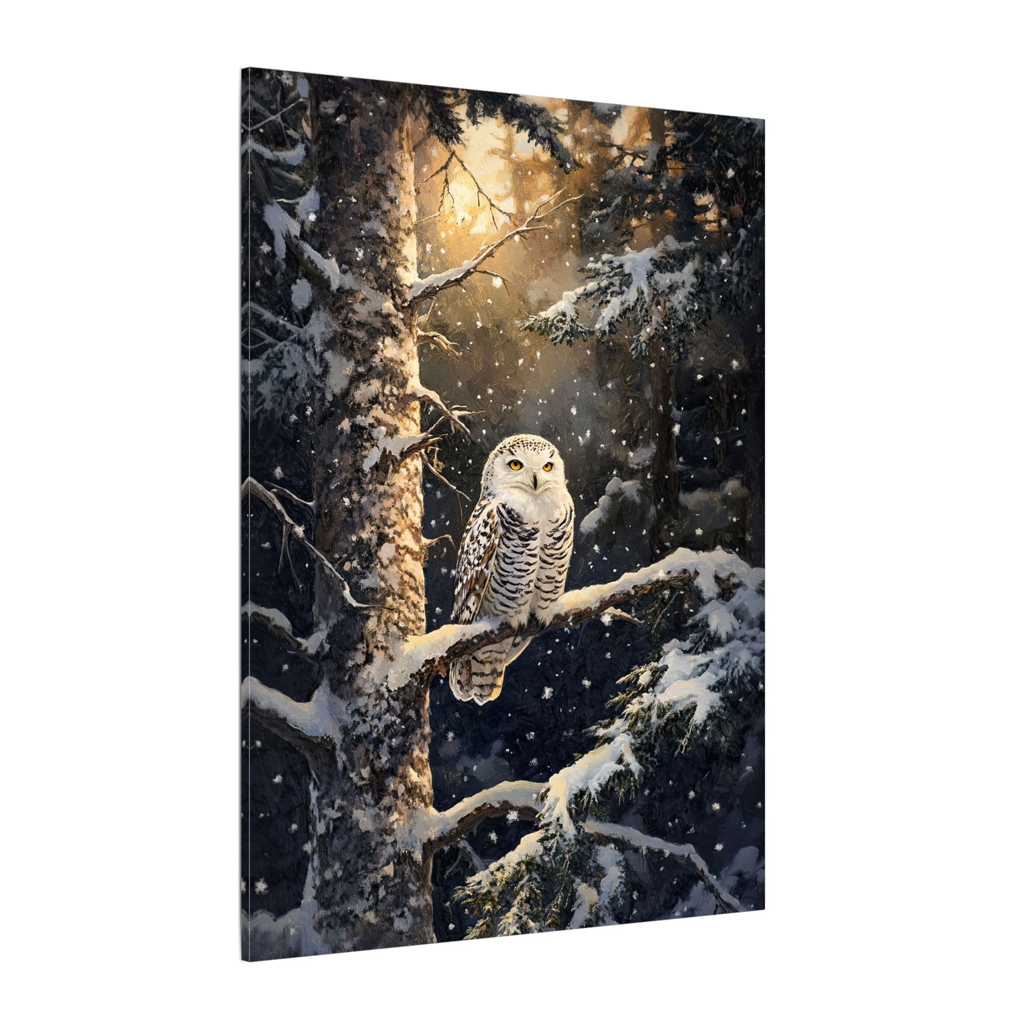 .75" Matte Canvas - Silent Gaze Snow Owl