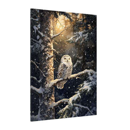 .75" Matte Canvas - Silent Gaze Snow Owl