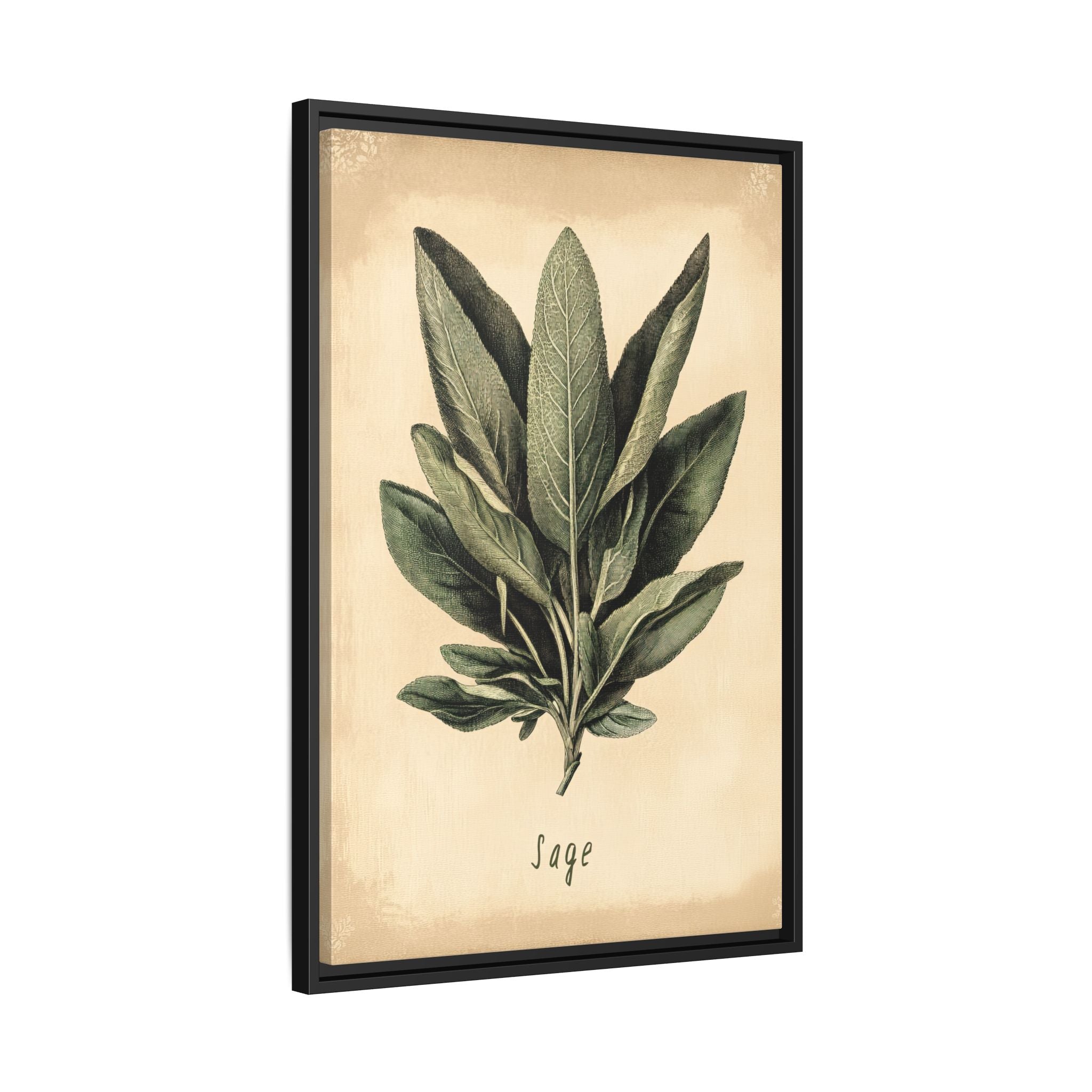 Framed Canvas - Botanical Sage Study