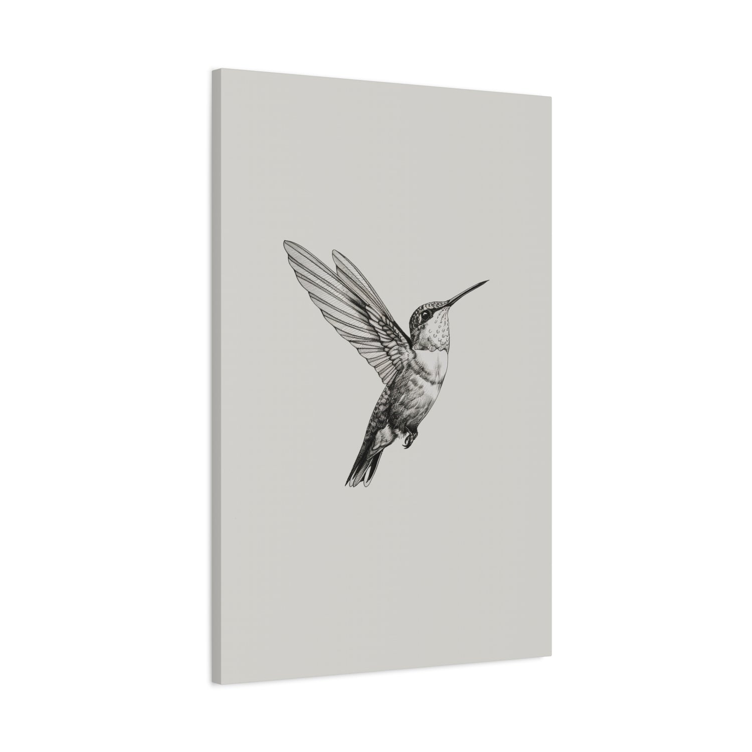 1.25" Matte Canvas - Flying Hummingbird Line Study