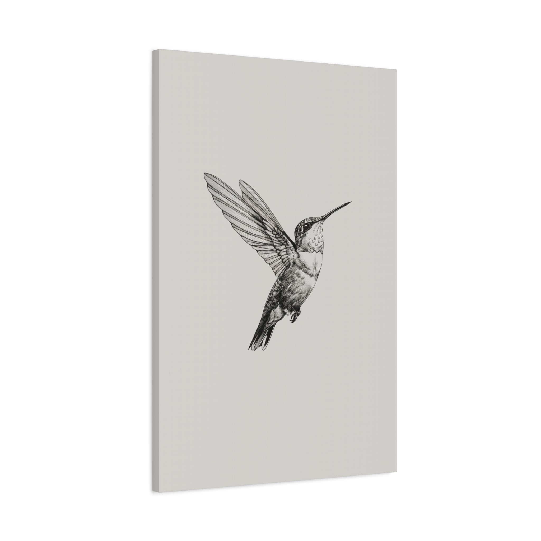 1.25" Matte Canvas - Flying Hummingbird Line Study