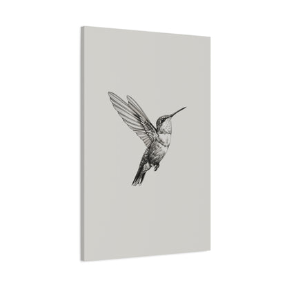 1.25" Matte Canvas - Flying Hummingbird Line Study