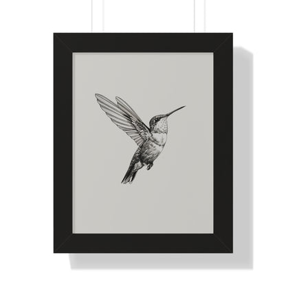 Framed Paper Print - Flying Hummingbird Line Study