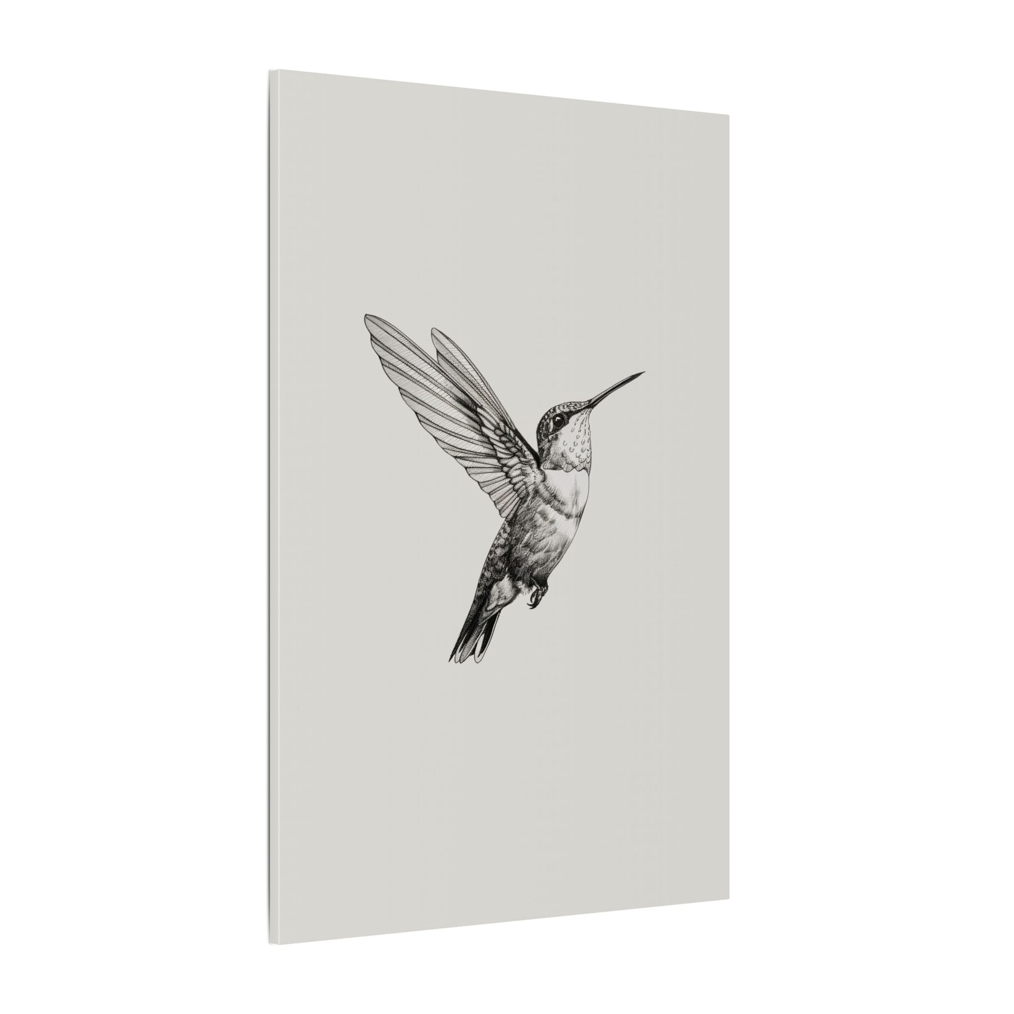 .75" Matte Canvas - Flying Hummingbird Line Study