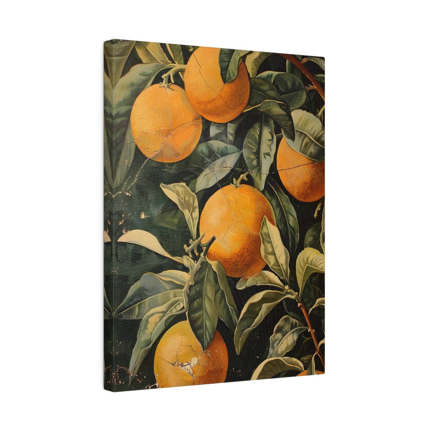 .75&quot; Matte Canvas - Citrus Grove Splendor