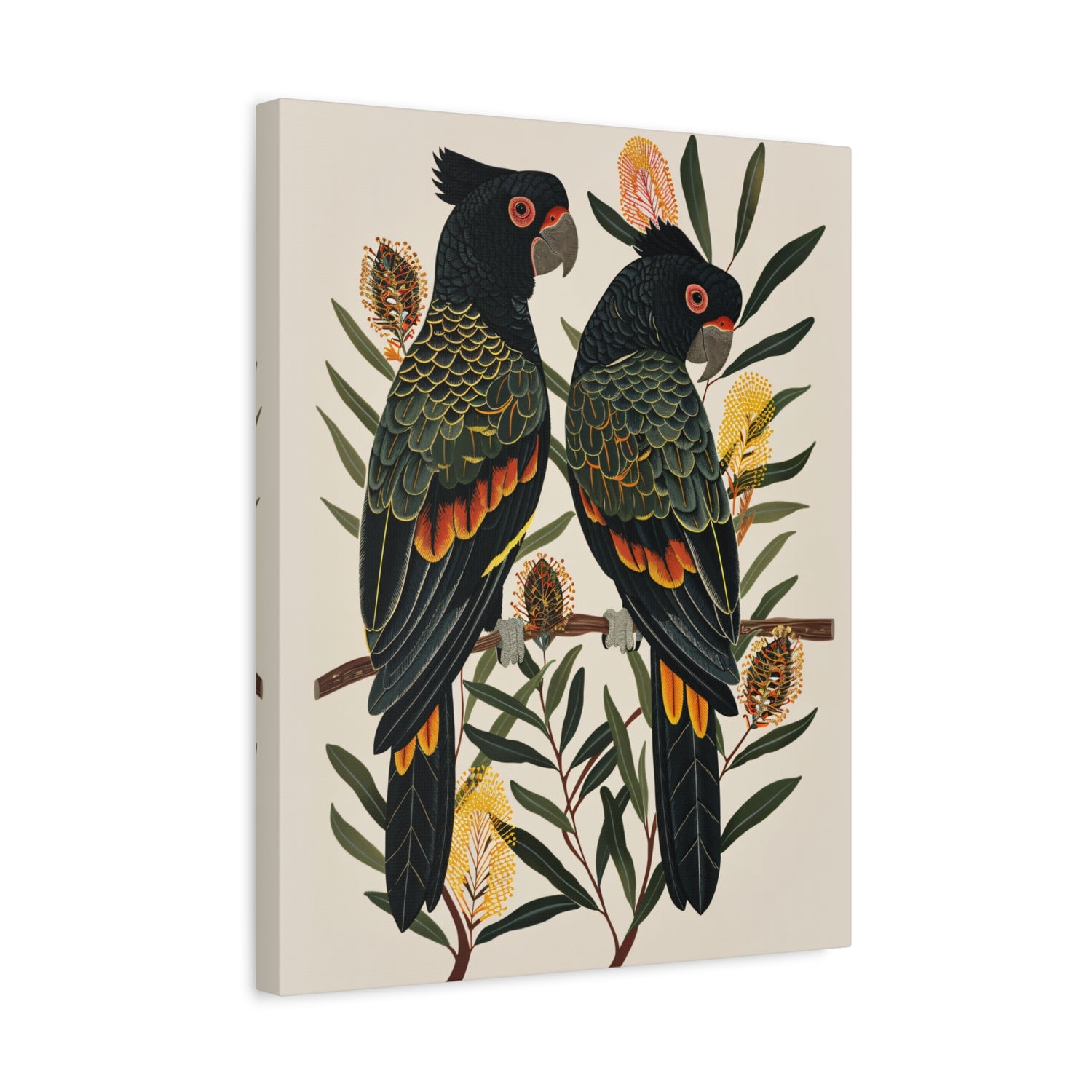 1.25" Matte Canvas - Black Cockatoos Among Banksia
