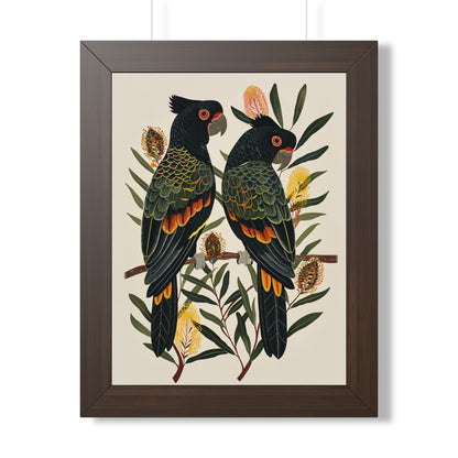 Framed Paper Print - Black Cockatoos Among Banksia