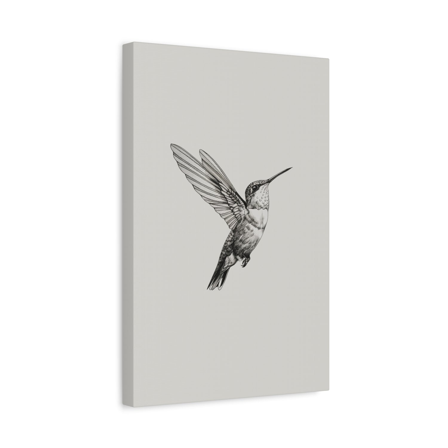 1.25" Matte Canvas - Flying Hummingbird Line Study