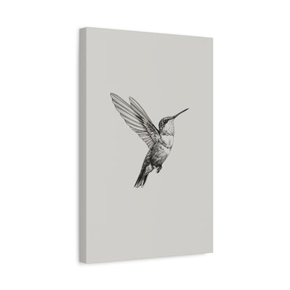 1.25" Matte Canvas - Flying Hummingbird Line Study