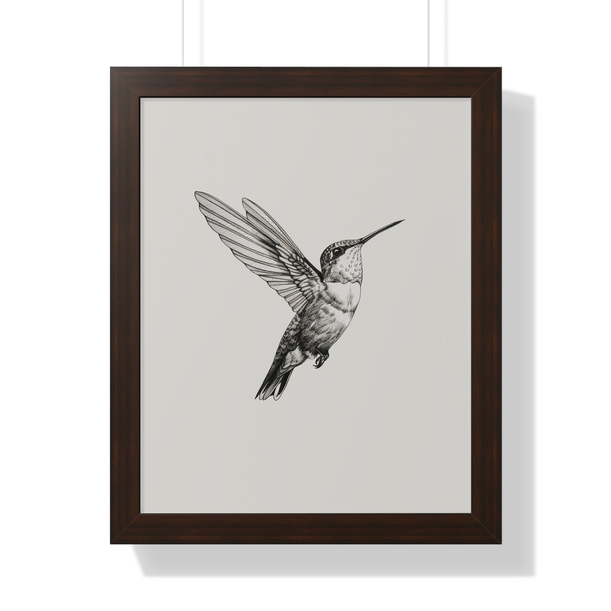 Framed Paper Print - Flying Hummingbird Line Study