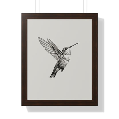 Framed Paper Print - Flying Hummingbird Line Study