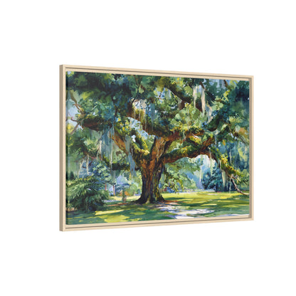 Framed Canvas - Whispering Southern Live Oak