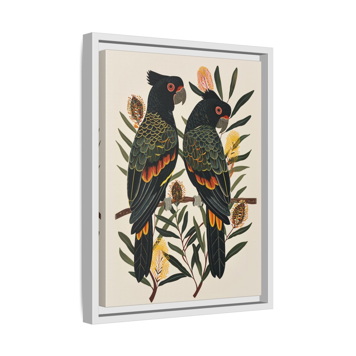 Framed Canvas - Black Cockatoos Among Banksia