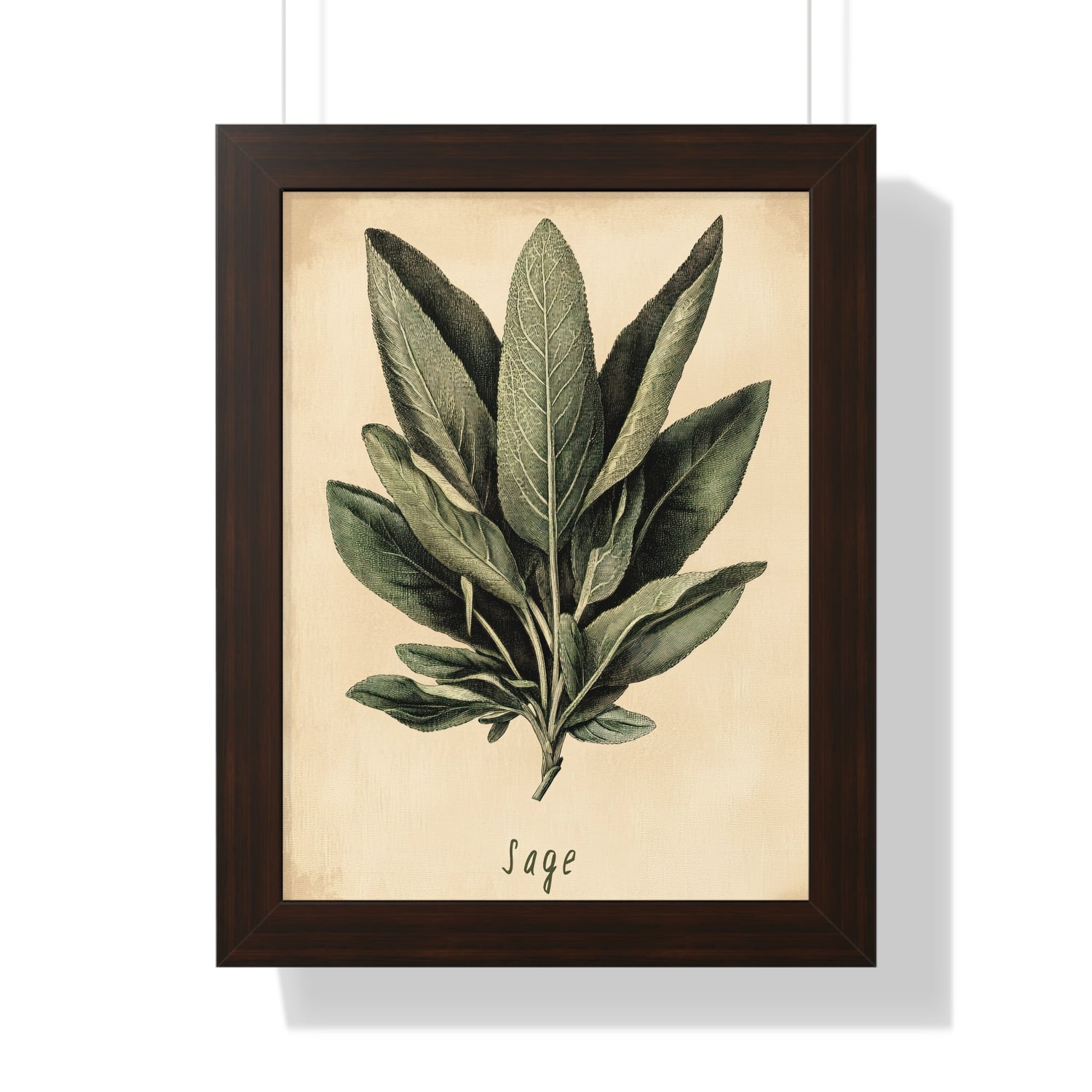 Framed Paper Print - Botanical Sage Study