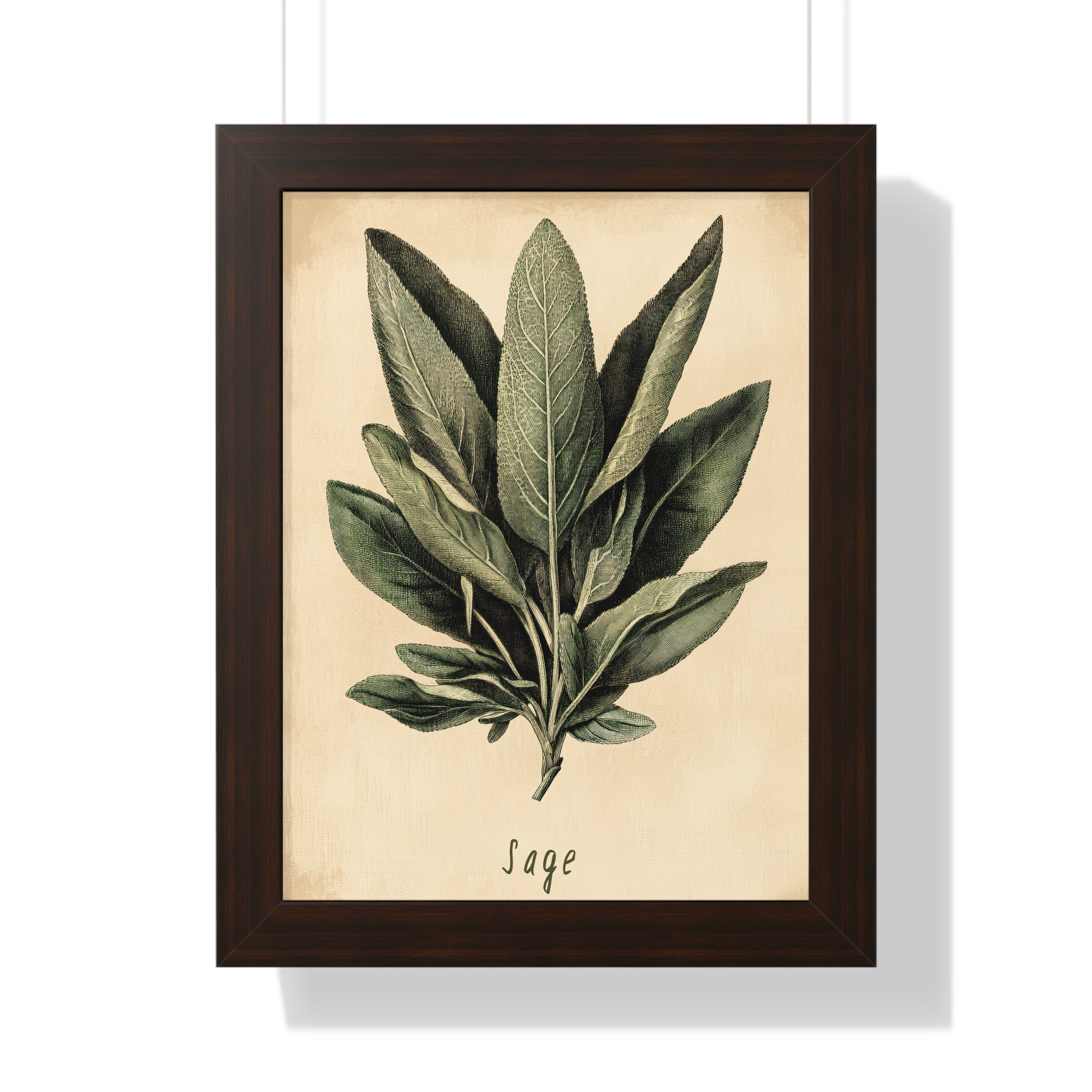 Framed Paper Print - Botanical Sage Study