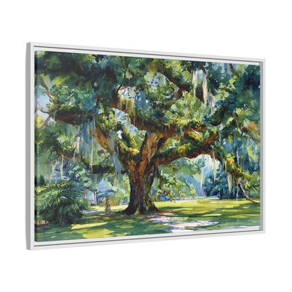 Framed Canvas - Whispering Southern Live Oak