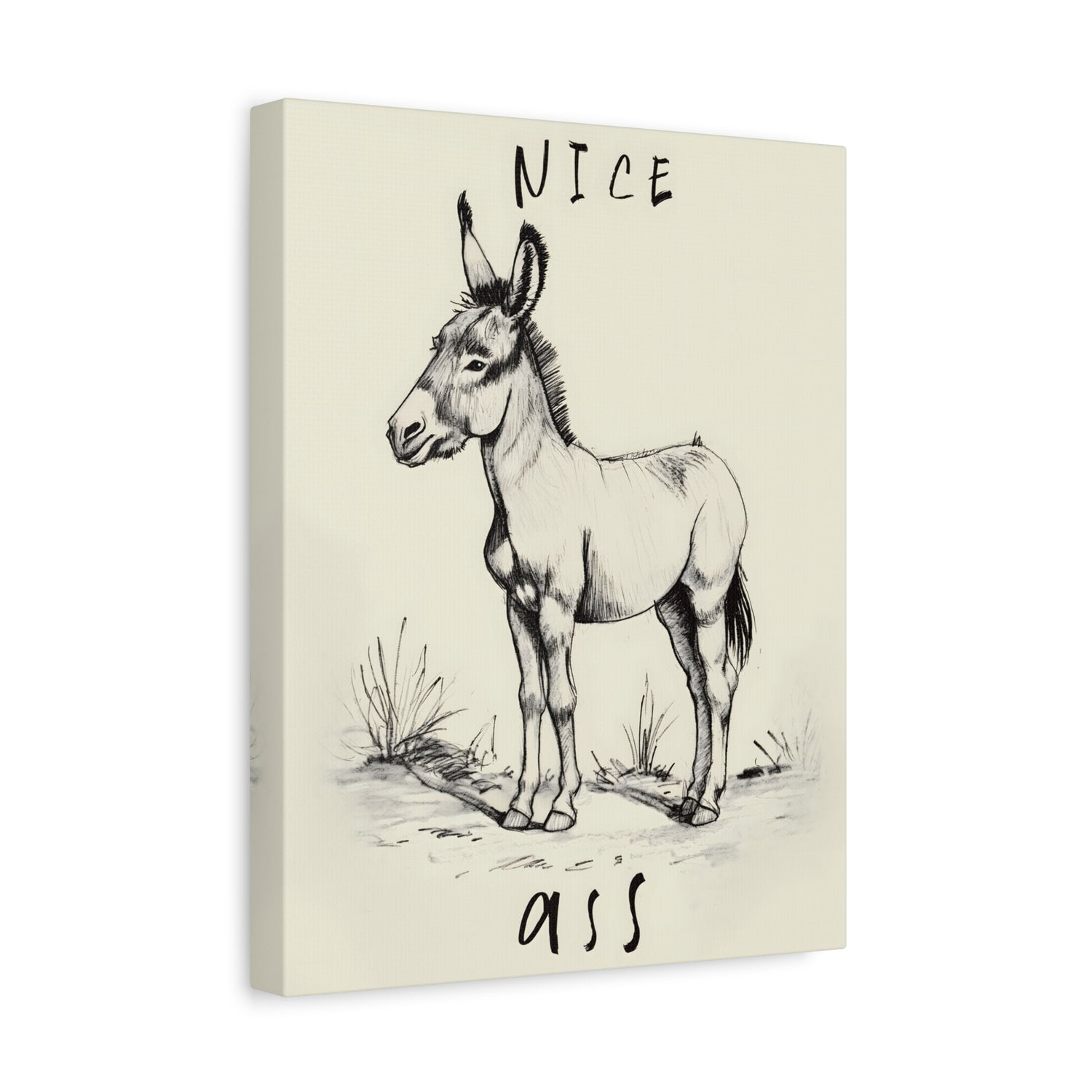 1.25" Matte Canvas - Donkey Line Art Humor