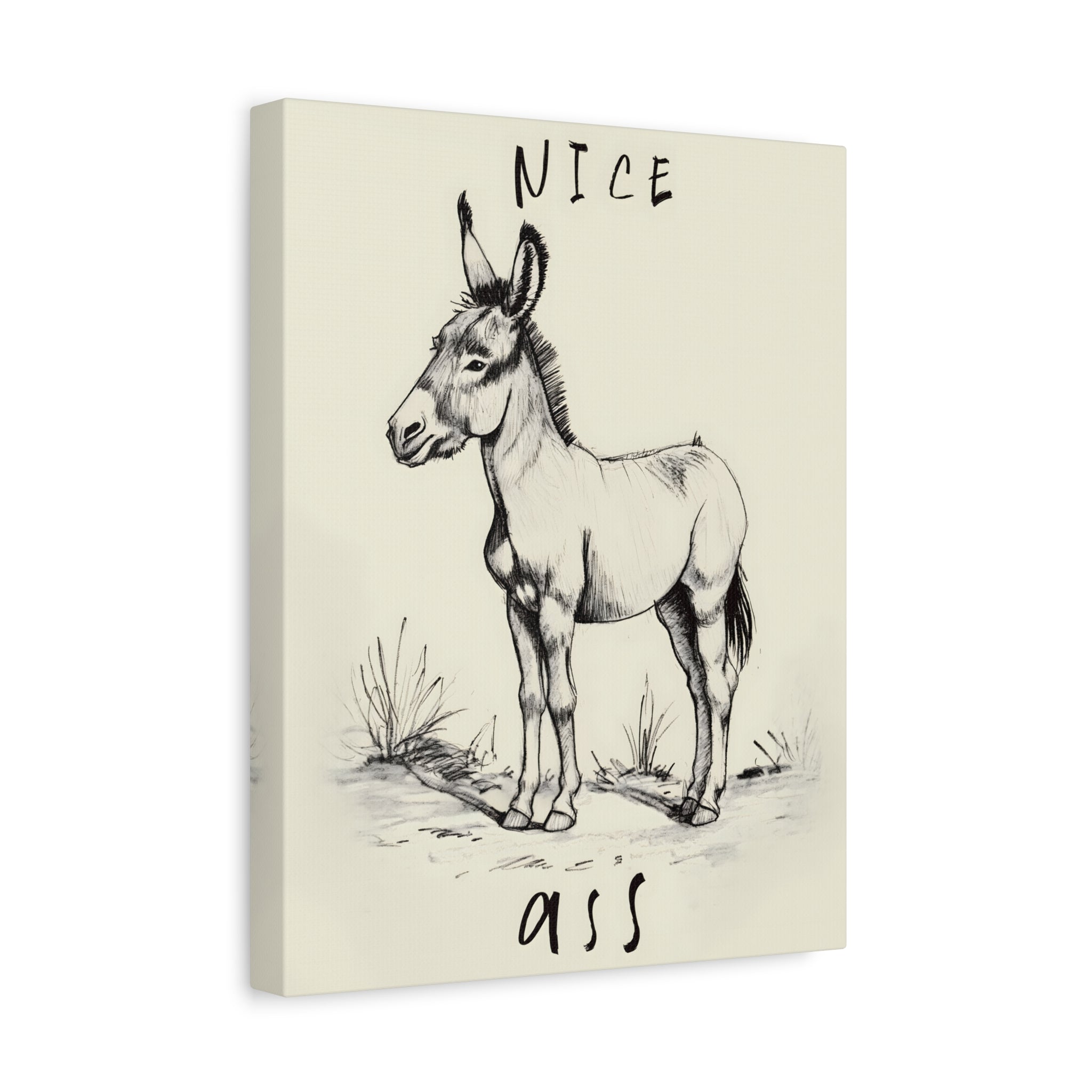 1.25" Matte Canvas - Donkey Line Art Humor