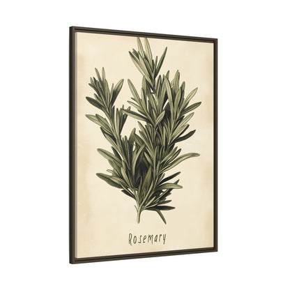Framed Canvas - Botanical Rosemary Study