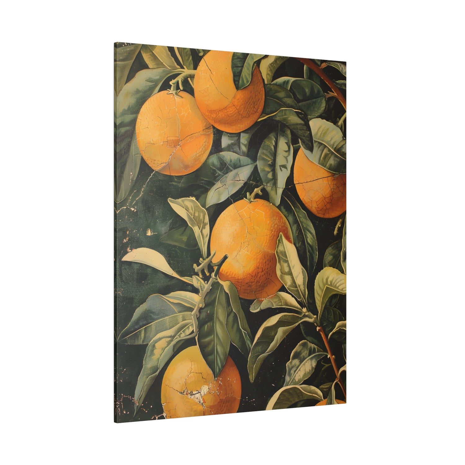 .75&quot; Matte Canvas - Citrus Grove Splendor