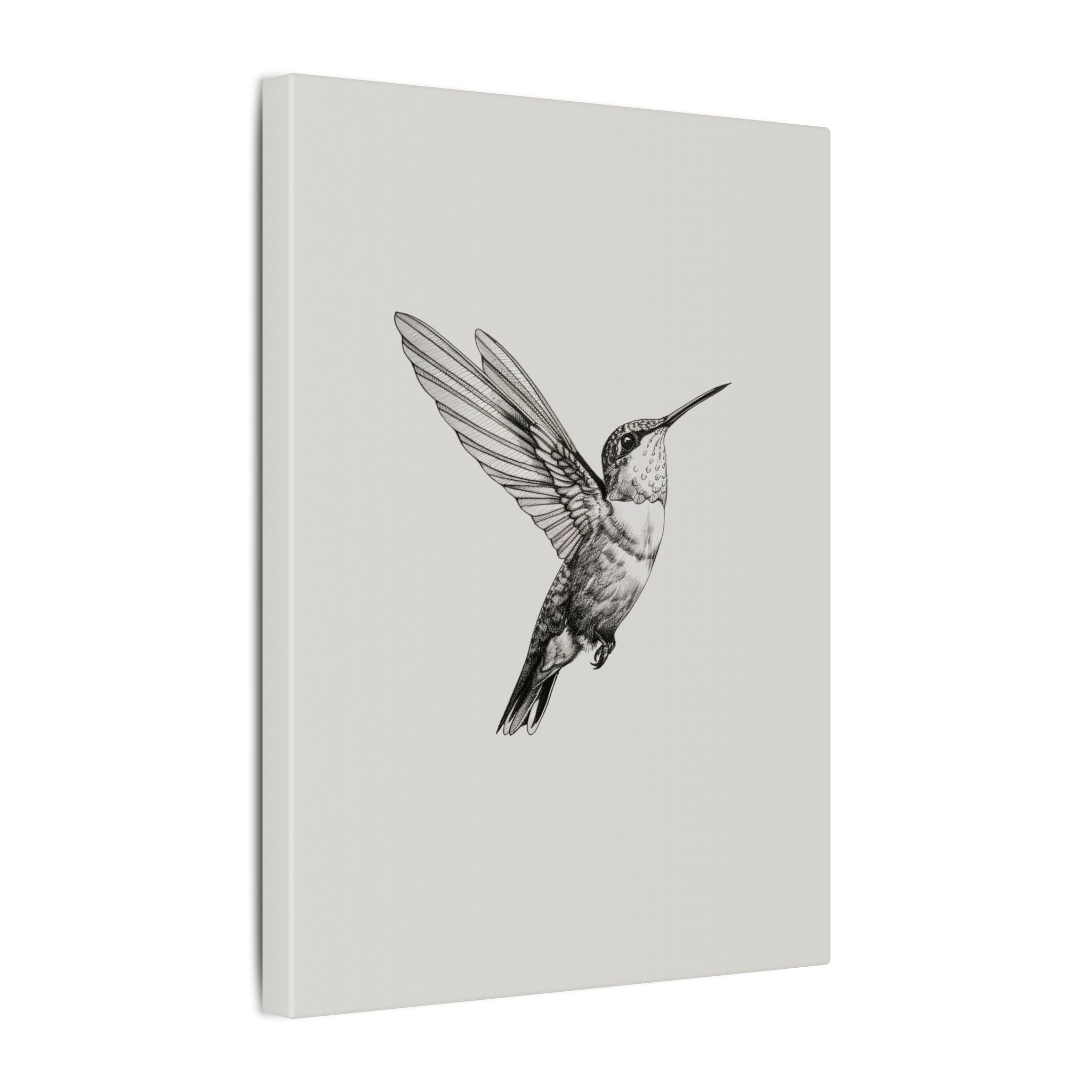 .75" Matte Canvas - Flying Hummingbird Line Study