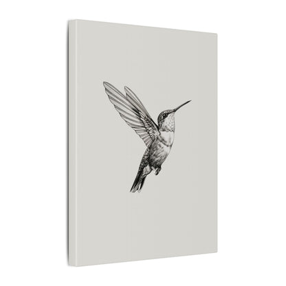.75" Matte Canvas - Flying Hummingbird Line Study