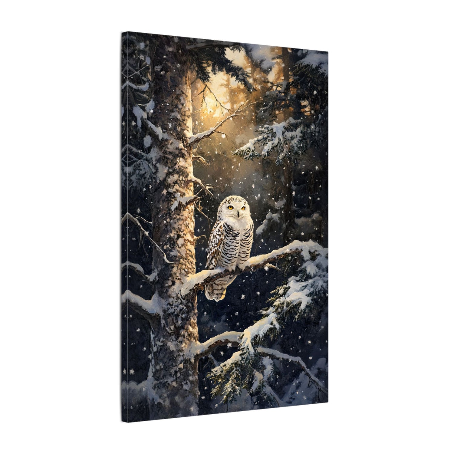 .75" Matte Canvas - Silent Gaze Snow Owl