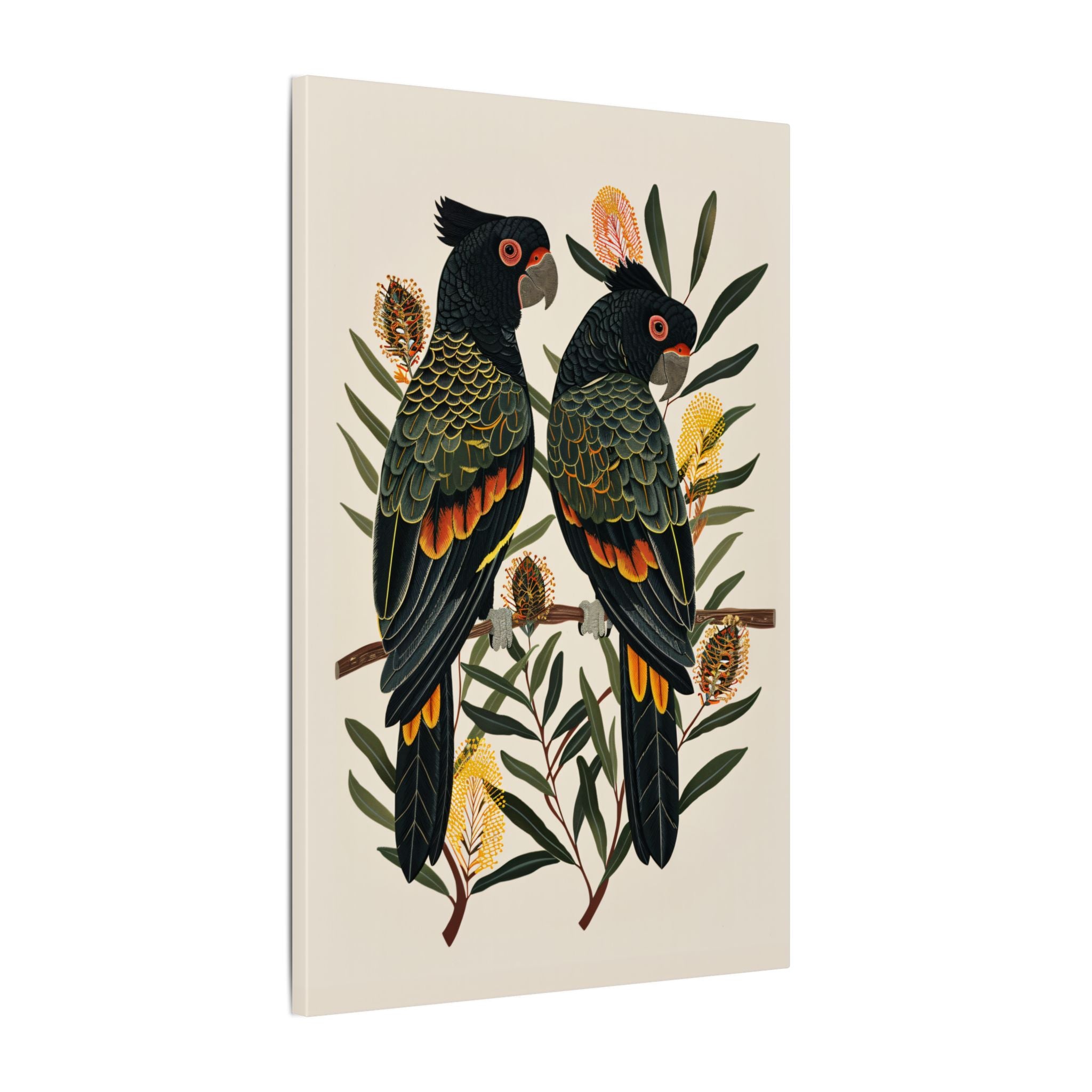 .75" Matte Canvas - Black Cockatoos Among Banksia