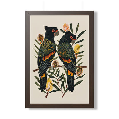 Framed Paper Print - Black Cockatoos Among Banksia