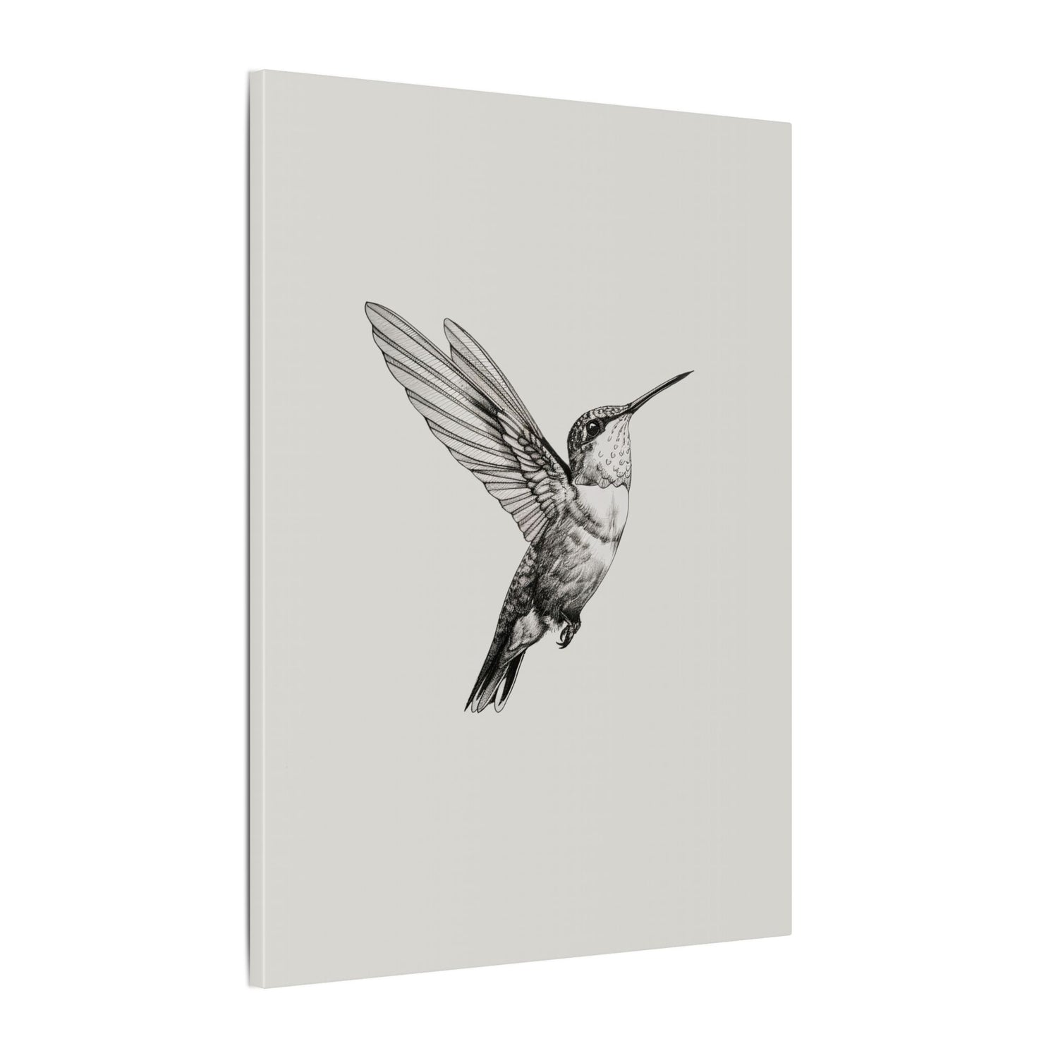 .75" Matte Canvas - Flying Hummingbird Line Study