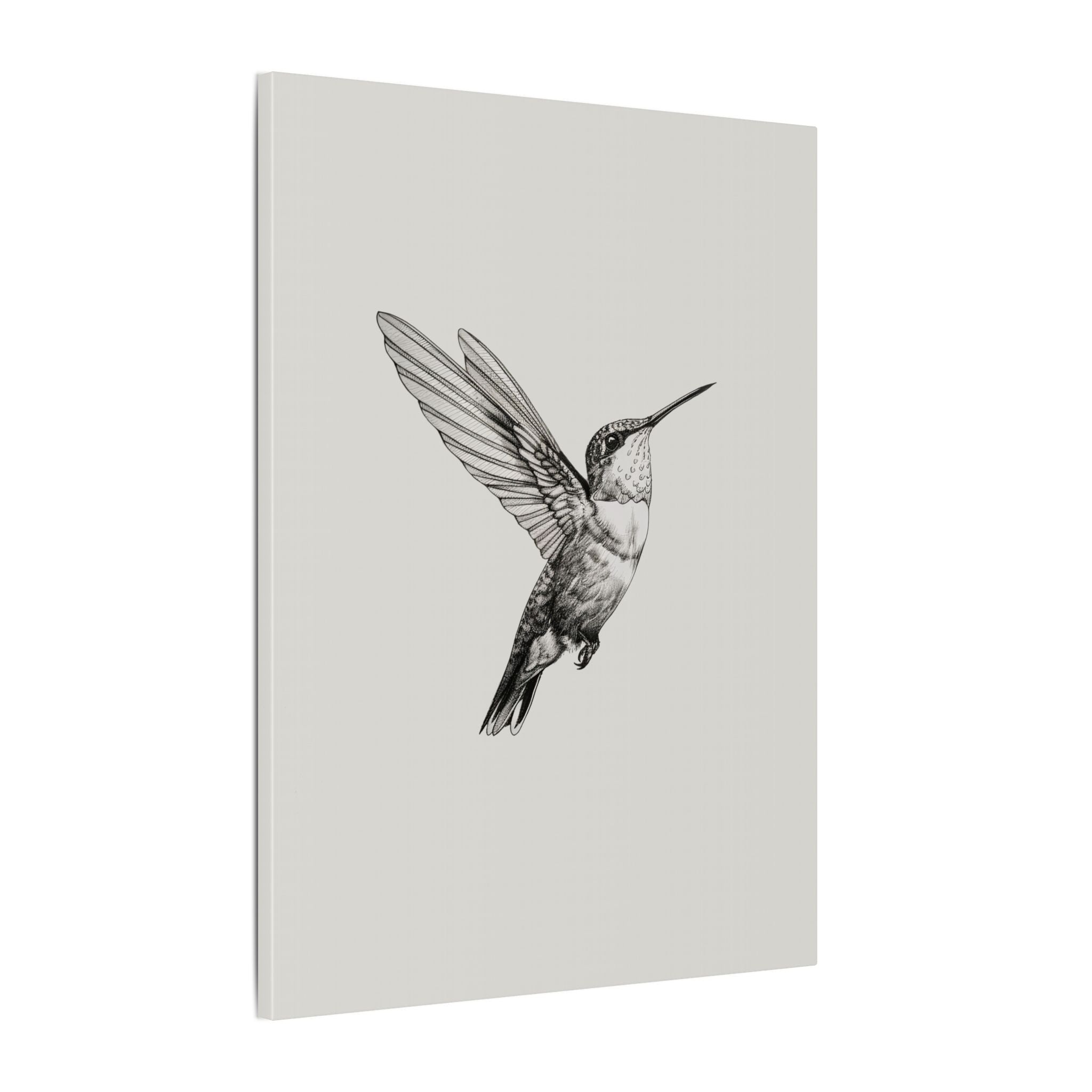.75" Matte Canvas - Flying Hummingbird Line Study