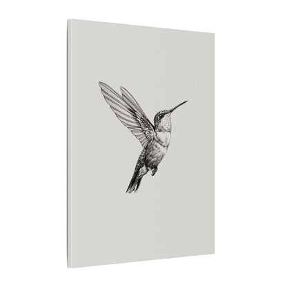 .75" Matte Canvas - Flying Hummingbird Line Study