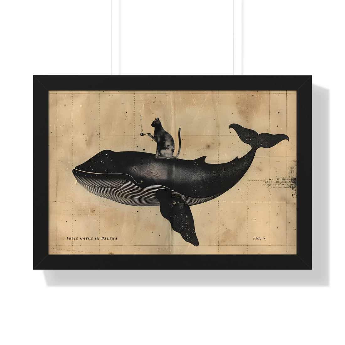 Framed Paper Print - Cat Rides Whale Theory