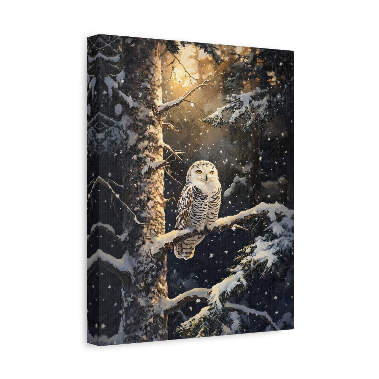 1.25" Matte Canvas - Silent Gaze Snow Owl